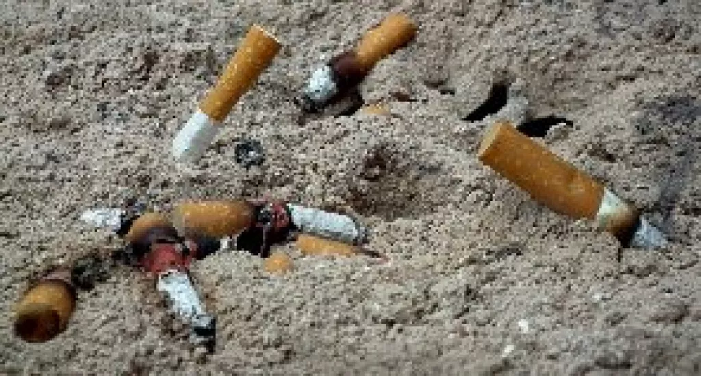 A tüdőbetegségekkel szemben is a korai felismerés a legjobb orvosság
