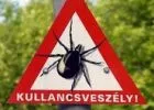 Vegyük fel a kesztyűt a Lyme-kórral!