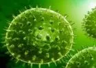 Mivel foglalkozik az infektológia?