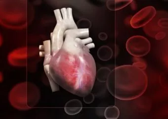Új képalkotó eljárás mutathatja ki a szívroham kockázatát