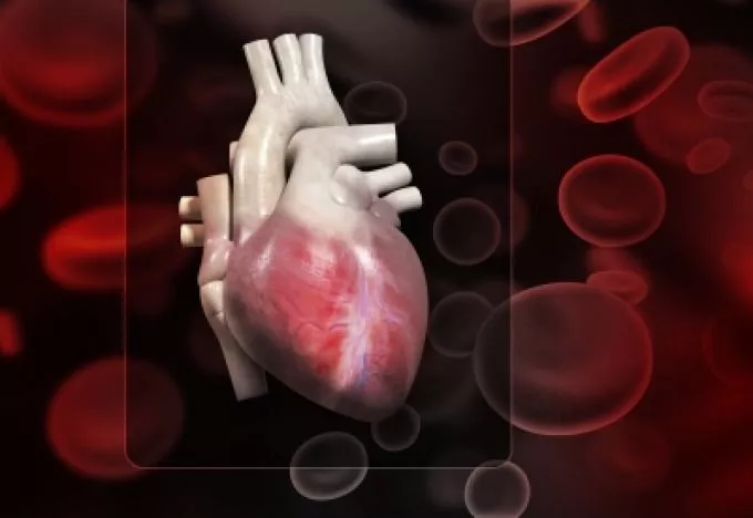 Új képalkotó eljárás mutathatja ki a szívroham kockázatát