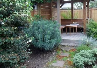 Az én kertem, az én álmom... Tervezz kertet! - 10 hasznos tipp és egyéb virágos ötletek