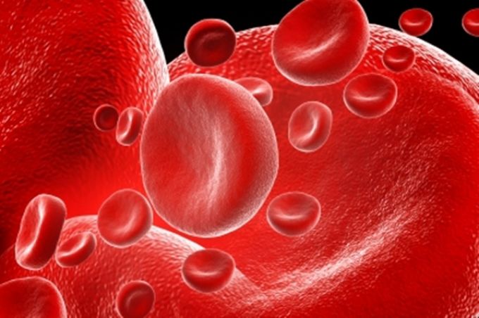 Ismétlődő trombózist okozhat az antifoszfolipid szindróma Ismétlődő trombózist okozhat az antifoszfolipid szindróma