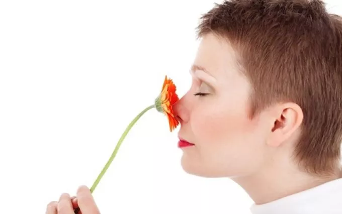 A szaglás élessége megjósolhatja a várható élettartamot