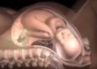 Mi történik a női testtel szülés során? - videó, ahogy még sosem láttuk