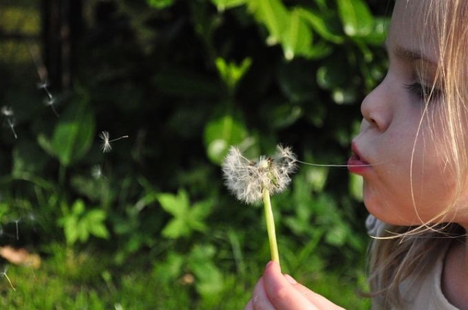 A pollenek miatt erősödnek az ekcémás tünetek A pollenek miatt erősödnek az ekcémás tünetek