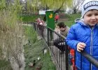 Feneketlen tó - Kirándulás Budapesten
A Feneketlen tó élővilága