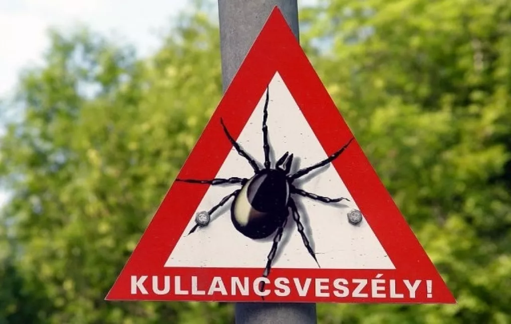 kullancsveszély kullancs elleni védekezés