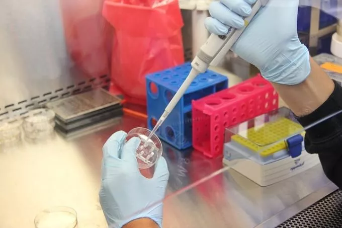 Donor immunsejtekkel vette fel a harcot a rák ellen egy kutatócsoport