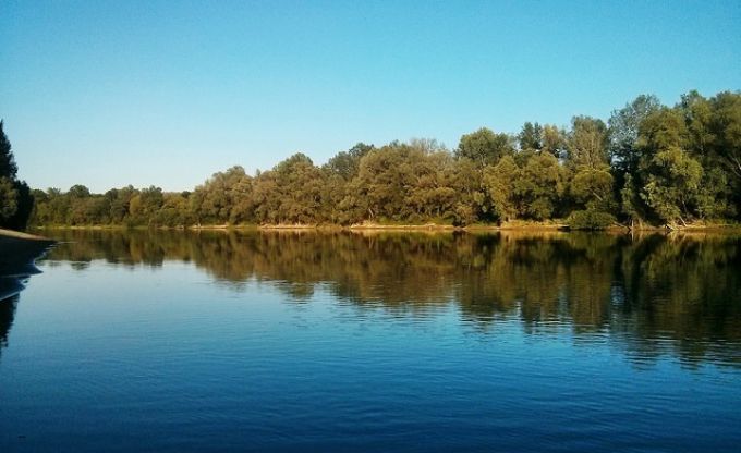 Eltűnt egy gyermek a Tiszában Szolnoknál Eltűnt egy gyermek a Tiszában Szolnoknál