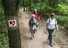Szív- és érrendszeri betegek rehabilitációját segítő túraösvényt avattak Budapesten