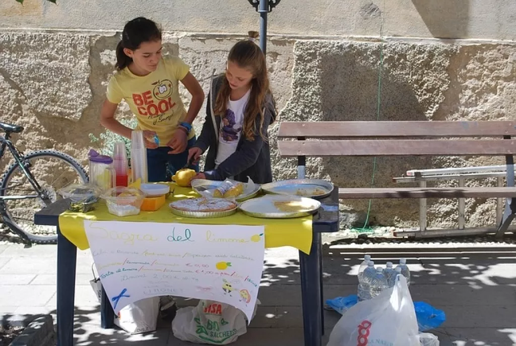 limonádé vállalkozás gyerek vállalkozóvá nevelése