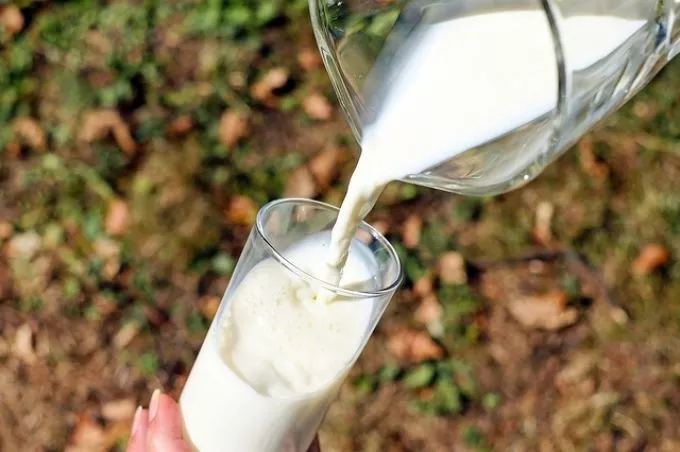 A nyers tejtől is megbetegedhetünk vírusos agyvelő- és agyhártyagyulladásban