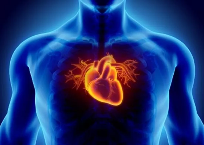 Tudod, hogy melyek a gyakran előforduló szívbetegségek? Előzd meg őket!