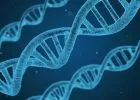 Tizennégy új fejlődési zavart azonosítottak brit genetikusok