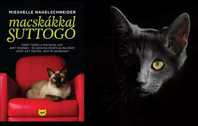 Mieshelle Nagelschneider: Macskákkal suttogó - Nyereményjáték!
