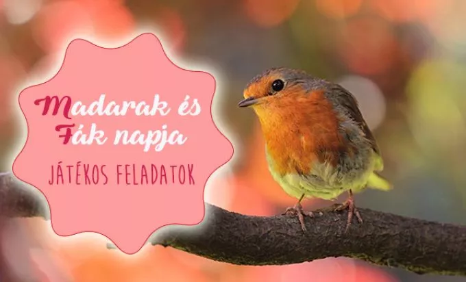 Madarak és fák napja - játékos feladatok, melyek bővítik gyermeked tudását