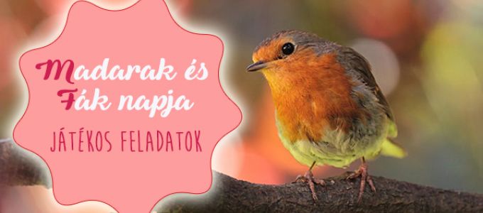 Madarak és fák napja - játékos feladatok, melyek bővítik gyermeked tudását Madarak és fák napja - játékos feladatok, melyek bővítik gyermeked tudását