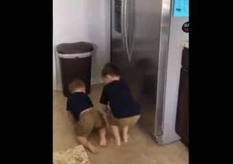 Így nyitja ki csapatmunkával két kis testvér a lezárt hűtőt - tündéri videó!