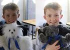 Beteg gyerekeknek varr plüssmackókat egy ausztrál kisfiú