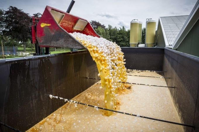 Kerüljük a rovarirtó szerrel kezelt tojásokat! - Pajzsmirigyfunkciós tesztek a fipronillal foglalkozó személyeknél Kerüljük a rovarirtó szerrel kezelt tojásokat! - Pajzsmirigyfunkciós tesztek a fipronillal foglalkozó személyeknél