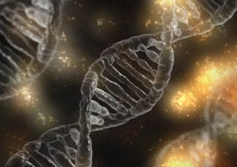 Új gént azonosítottak egy ritka betegség kialakulásának hátterében