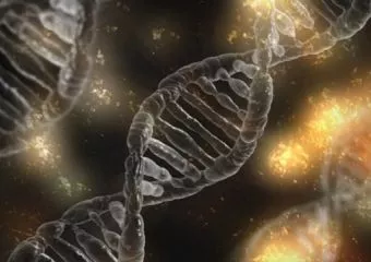 Új gént azonosítottak egy ritka betegség kialakulásának hátterében