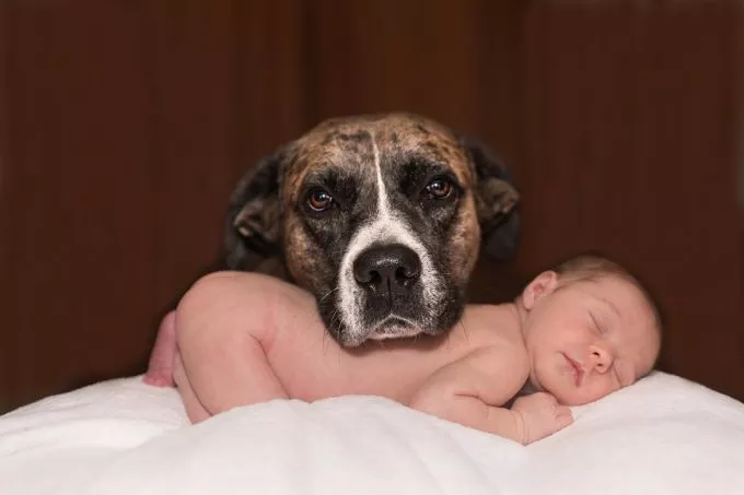 Állattartás baba mellett - ezekre a dolgokra figyelj