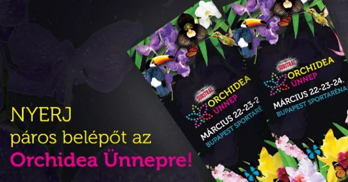 Varázslatos Orchidea Ünnep vár hétvégén a Budapest Arénában! - Nyereményjáték!