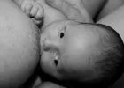Csodálatos animáció mutatja be a szoptatás folyamatát (videó)