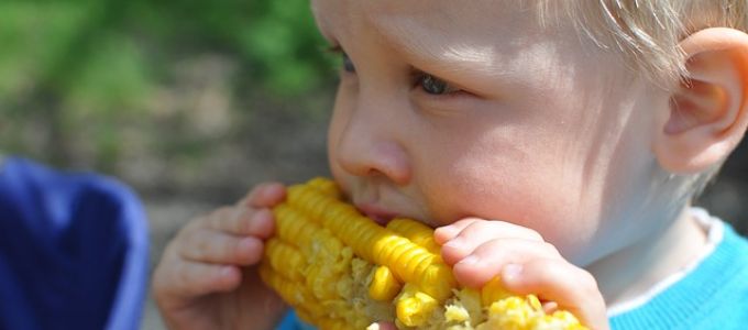 Rajtad is múlik! Már az anyaméhben eldől, mennyire lesz válogatós a gyerek Rajtad is múlik! Már az anyaméhben eldől, mennyire lesz válogatós a gyerek