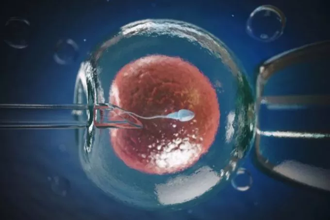 A női meddőség hátterében álló leggyakoribb pszicho-neuro-endokrin problémák 4. rész: Az életmód; a meddőség kezelése A női meddőség hátterében álló leggyakoribb pszicho-neuro-endokrin problémák 4. rész: Az életmód; a meddőség kezelése