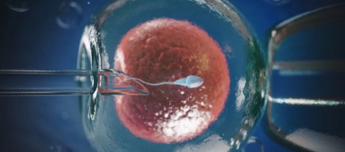 A női meddőség hátterében álló leggyakoribb pszicho-neuro-endokrin problémák 4. rész: Az életmód; a meddőség kezelése A női meddőség hátterében álló leggyakoribb pszicho-neuro-endokrin problémák 4. rész: Az életmód; a meddőség kezelése