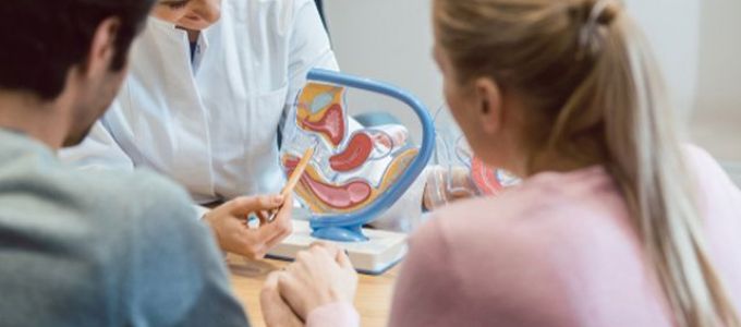 A női meddőség hátterében álló leggyakoribb pszicho-neuro-endokrin problémák 2. rész: A hormonrendszer problémái A női meddőség hátterében álló leggyakoribb pszicho-neuro-endokrin problémák 2. rész: A hormonrendszer problémái