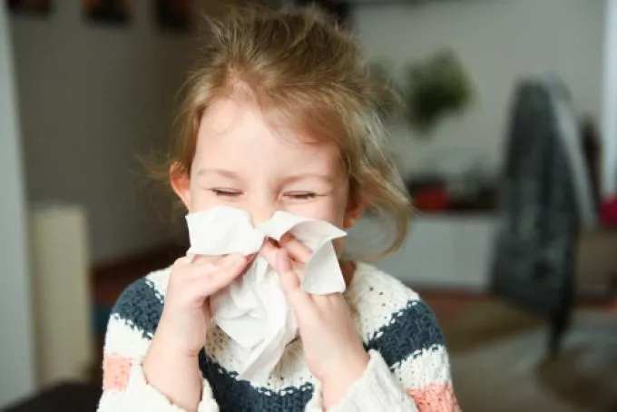 Bacilusűző vitaminok az ősz patikájából