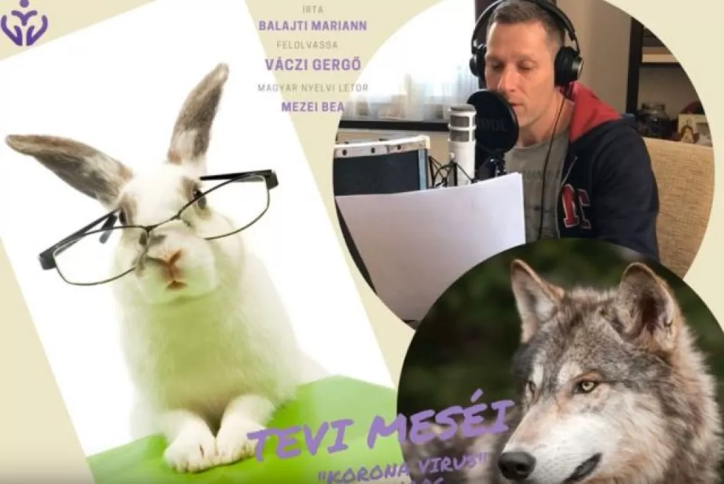 Tevi Tevi