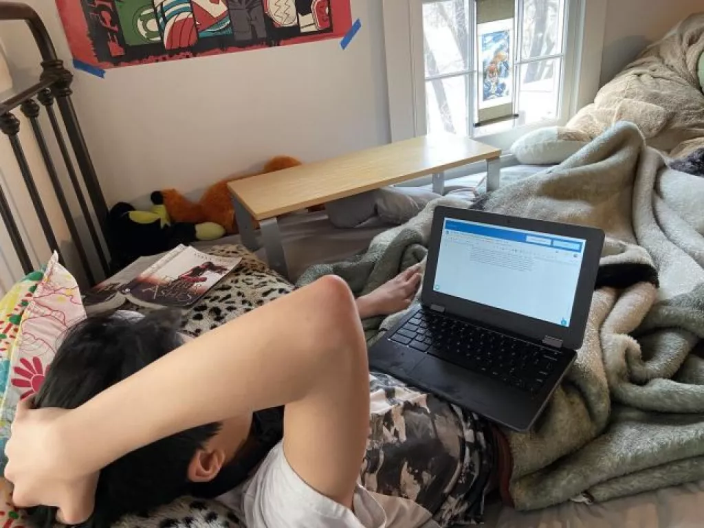 Online bántalmazás