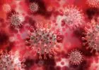 A koronavírus rugalmasabb és ellenálóbb lehet, mint korábban gondolták