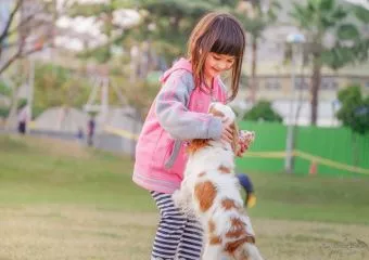 5 dolog, amit egy kiskutya érkezése ad a családnak