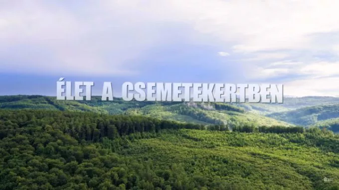 Élet a csemetekertben - oktatófilm kicsiknek és nagyoknak az erdősítésről