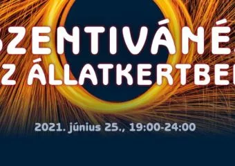 Állatkerti Szent Iván-éj június 25-én