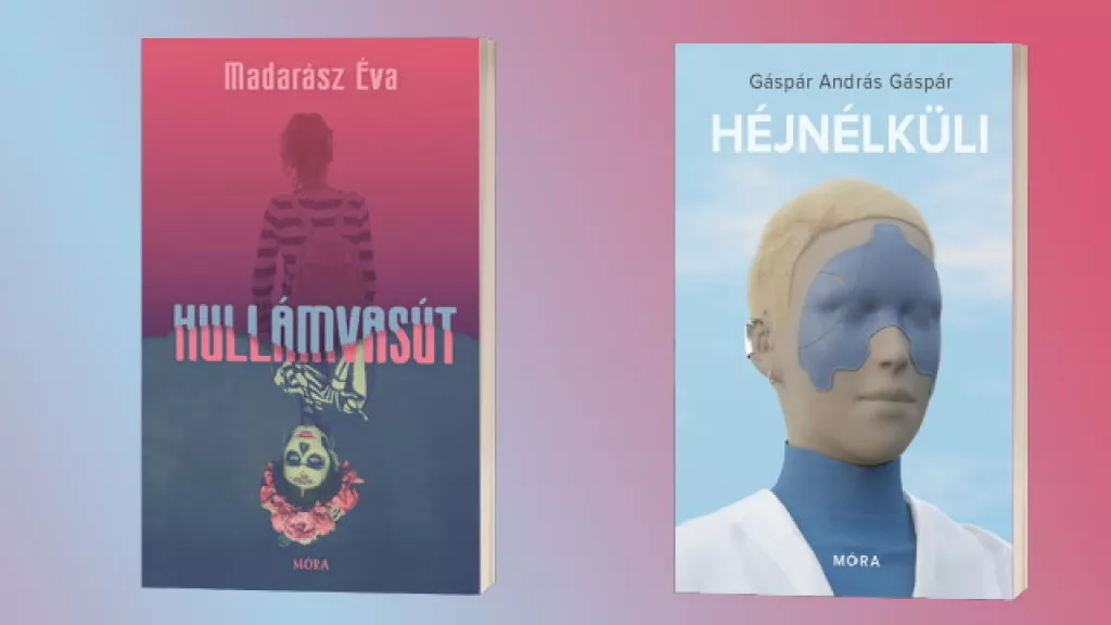 Hullámvasút és Héjnélküli - kamaszregények
