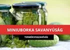 Ilyen uborkát szoktál vásárolni? - Termékvisszahívás: ne fogyaszd el, vidd vissza a boltba!