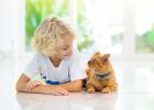 Így fejleszti gyermeked jellemét, ha cica mellett nő fel