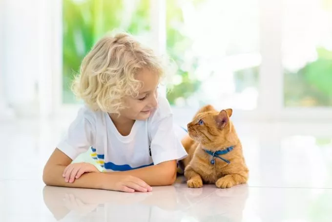 Így fejleszti gyermeked jellemét, ha cica mellett nő fel