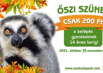 Kedvezményekkel és programokkal készül az Állatkert az őszi szünetre: Most szombattól mindenszentekig a 14 éven aluliaknak 200 forint lesz a belépőjegy