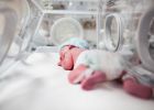Újszülött kislányt hagytak a kistarcsai inkubátorban: a portás végignézte, ahogy elbúcsúzik a babától, majd eltűnik az anya