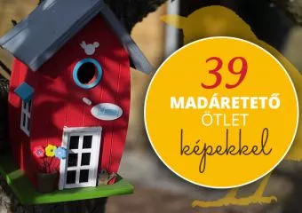 Madáretető készítés házilag: 39 fotó, amiből ötletet meríthetsz