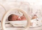 Csoda: 264 grammos koraszülött kisbaba életét mentették meg a debreceni klinikán