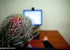 Az autisták terápiás lehetőségeinek javítására indult vizsgálat a Semmelweis Egyetemen